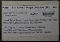 Image Associated With the Occurence